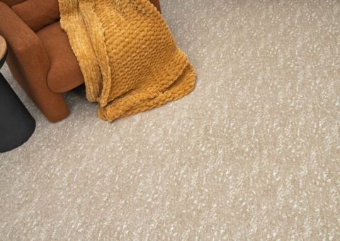 Image depicting the Service Carpet